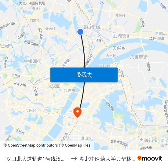 汉口北大道轨道1号线汉口北站 to 湖北中医药大学昙华林校区 map