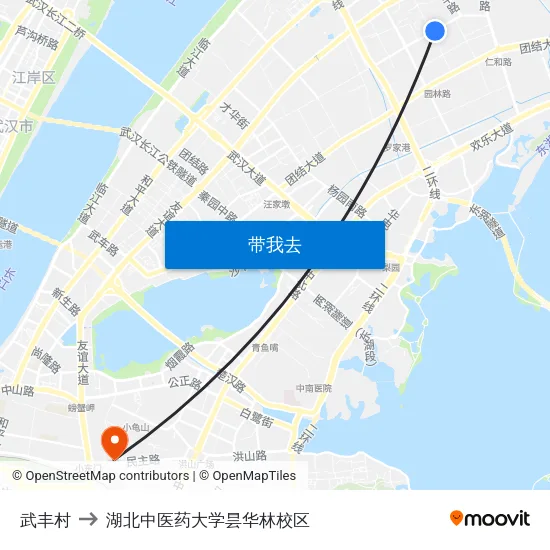 武丰村 to 湖北中医药大学昙华林校区 map