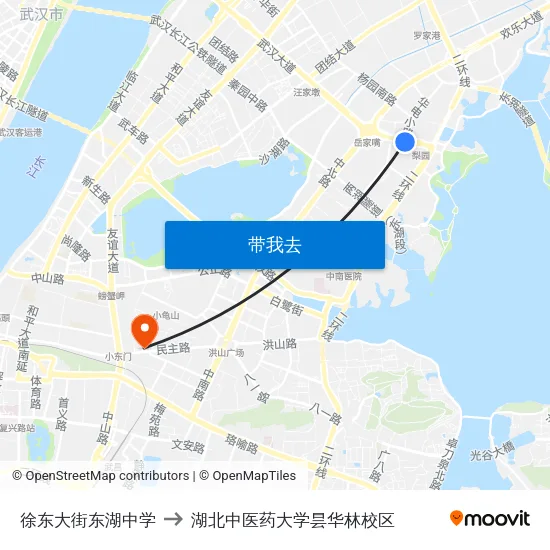 徐东大街东湖中学 to 湖北中医药大学昙华林校区 map
