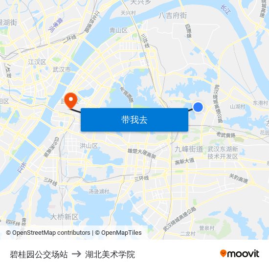 碧桂园公交场站 to 湖北美术学院 map