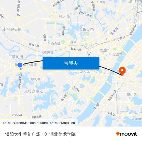 汉阳大街蔡甸广场 to 湖北美术学院 map