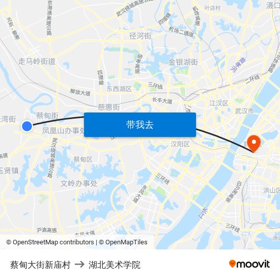 蔡甸大街新庙村 to 湖北美术学院 map