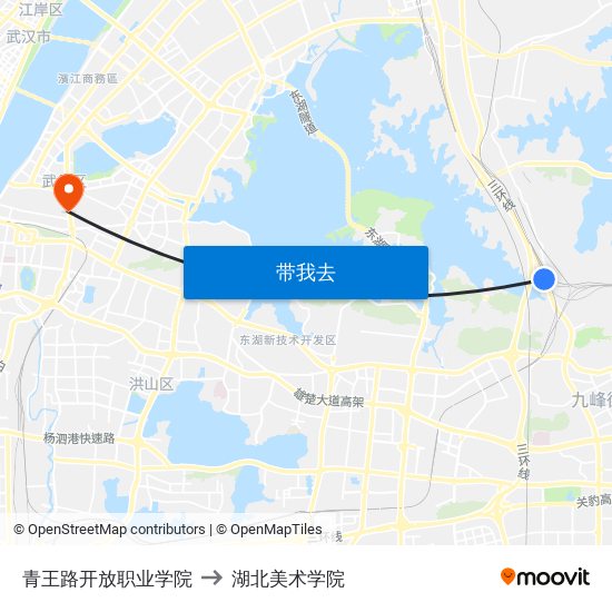 青王路开放职业学院 to 湖北美术学院 map