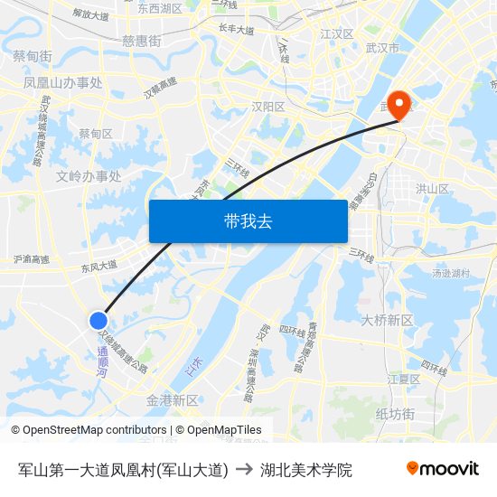 军山第一大道凤凰村(军山大道) to 湖北美术学院 map