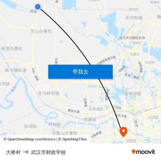 大桥村 to 武汉市财政学校 map
