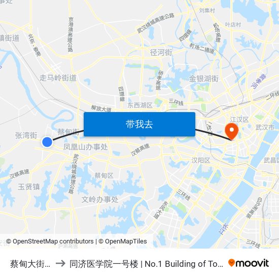 蔡甸大街新庙村 to 同济医学院一号楼 | No.1 Building of Tongji Medical College map
