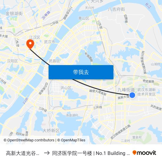 高新大道光谷公共服务中心 to 同济医学院一号楼 | No.1 Building of Tongji Medical College map
