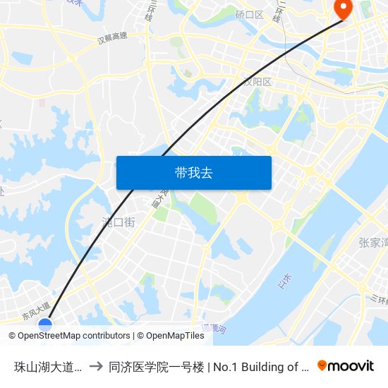 珠山湖大道枫树五路 to 同济医学院一号楼 | No.1 Building of Tongji Medical College map