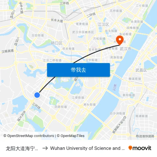 龙阳大道海宁皮革城 to Wuhan University of Science and Technology map