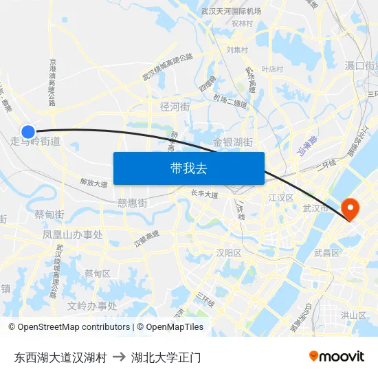 东西湖大道汉湖村 to 湖北大学正门 map