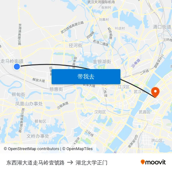 东西湖大道走马岭壹號路 to 湖北大学正门 map