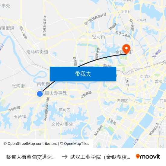 蔡甸大街蔡甸交通运输局 to 武汉工业学院（金银湖校区） map