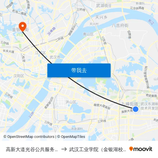 高新大道光谷公共服务中心 to 武汉工业学院（金银湖校区） map