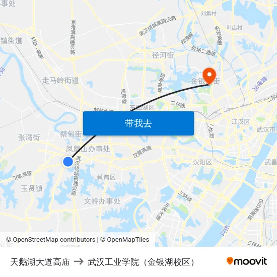 天鹅湖大道高庙 to 武汉工业学院（金银湖校区） map