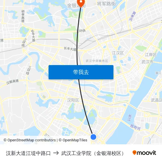 汉新大道江堤中路口 to 武汉工业学院（金银湖校区） map