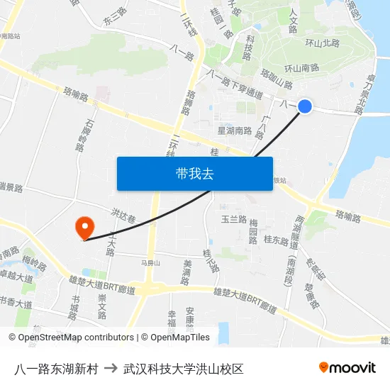 八一路东湖新村 to 武汉科技大学洪山校区 map