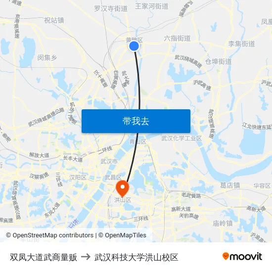 双凤大道武商量贩 to 武汉科技大学洪山校区 map