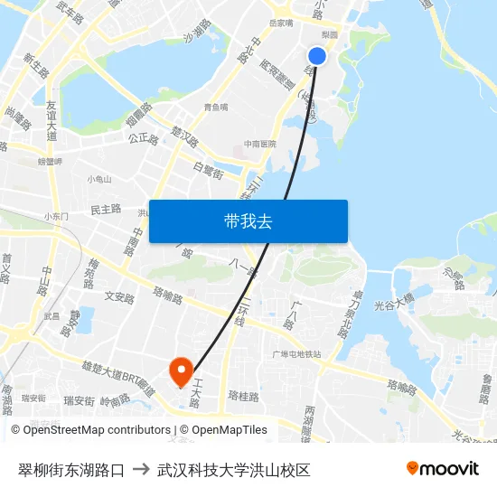 翠柳街东湖路口 to 武汉科技大学洪山校区 map