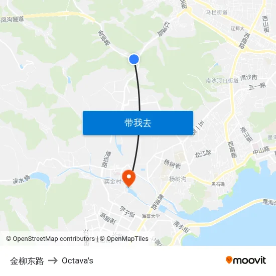 金柳东路 to Octava's map
