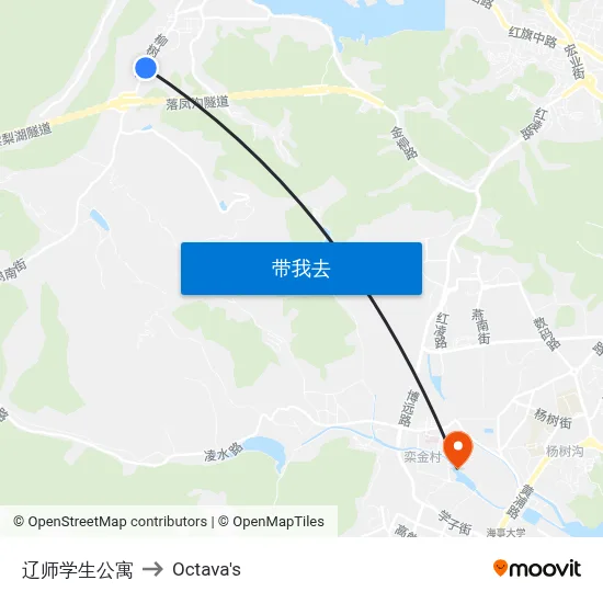 辽师学生公寓 to Octava's map