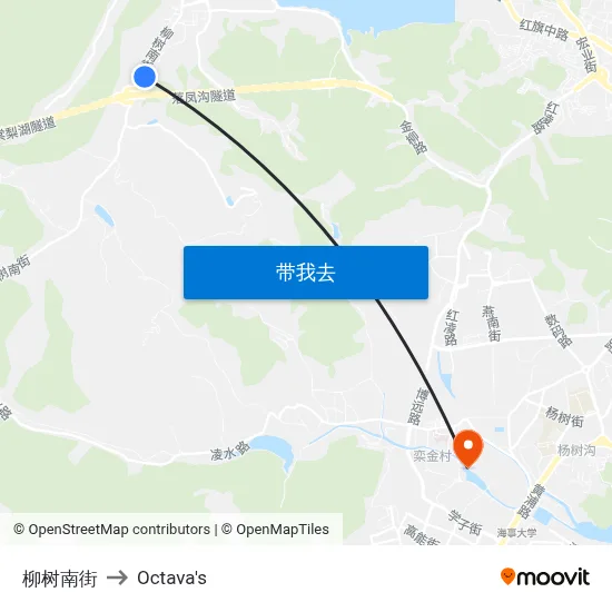 柳树南街 to Octava's map