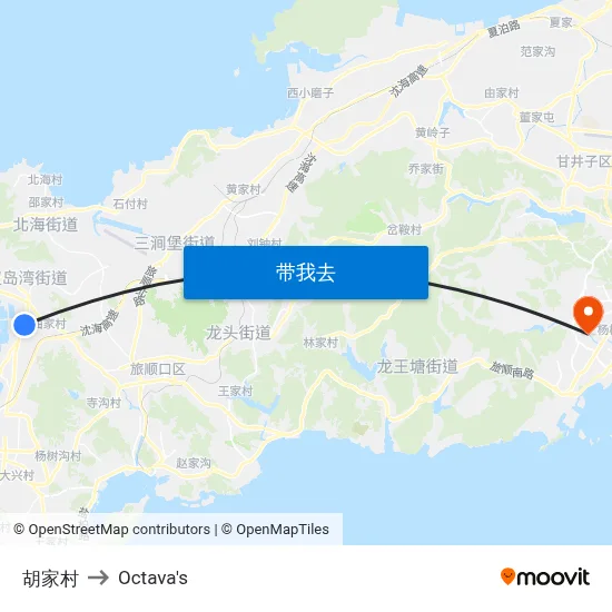 胡家村 to Octava's map