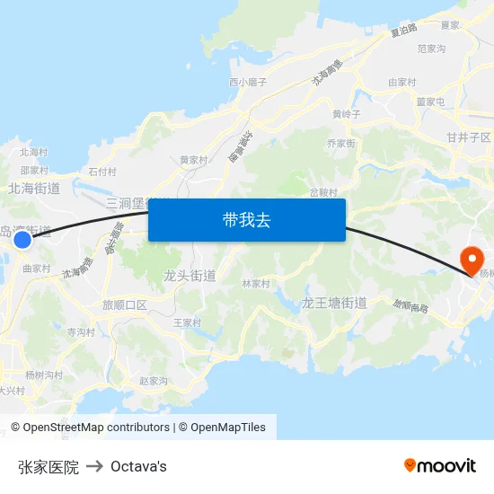 张家医院 to Octava's map