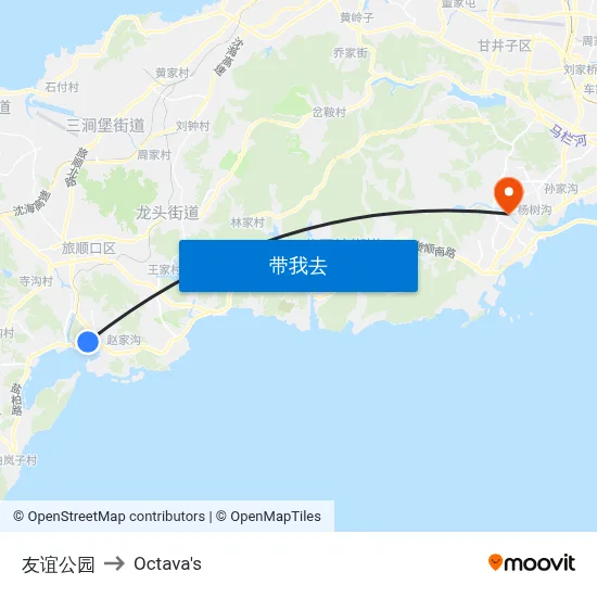 友谊公园 to Octava's map
