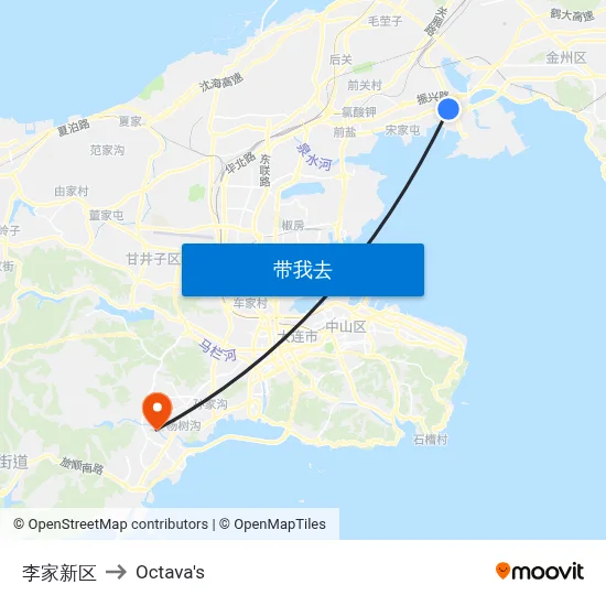 李家新区 to Octava's map