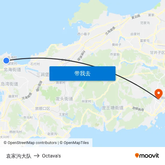 袁家沟大队 to Octava's map