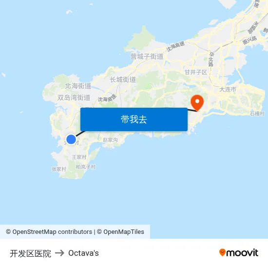 开发区医院 to Octava's map