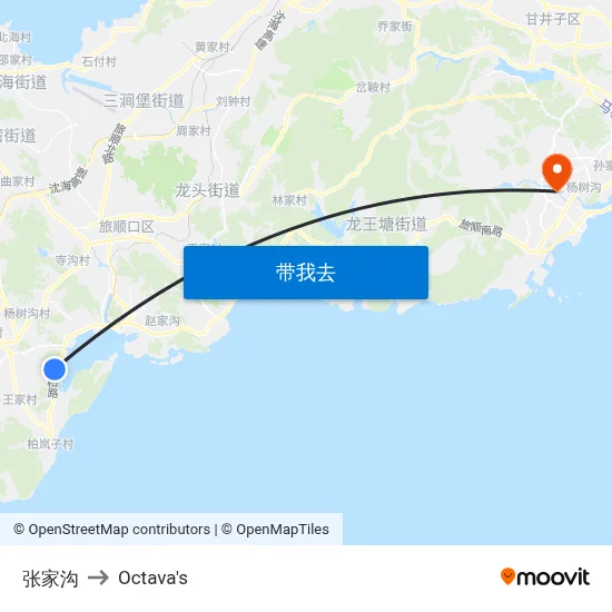 张家沟 to Octava's map