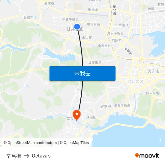 辛昌街 to Octava's map