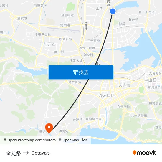 金龙路 to Octava's map