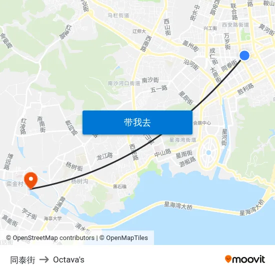 同泰街 to Octava's map