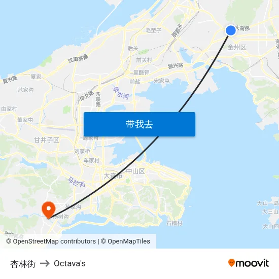 杏林街 to Octava's map