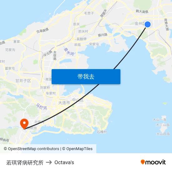 若琪肾病研究所 to Octava's map