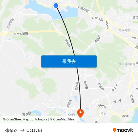 张辛路 to Octava's map