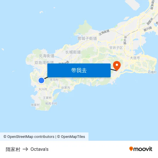 隋家村 to Octava's map