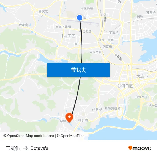 玉湖街 to Octava's map