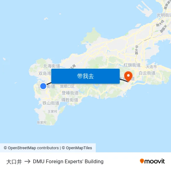 大口井 to DMU Foreign Experts' Building map