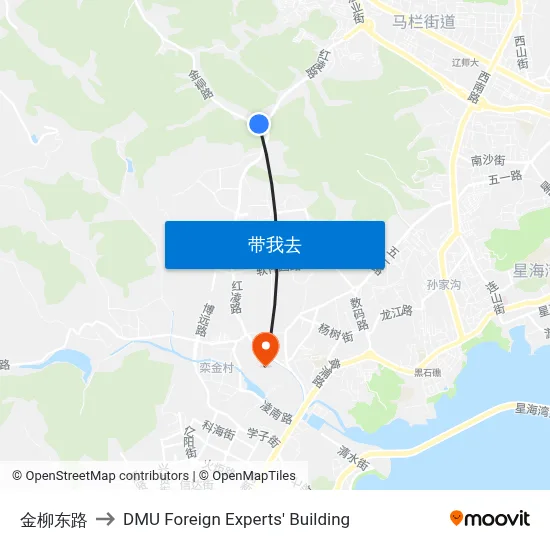 金柳东路 to DMU Foreign Experts' Building map