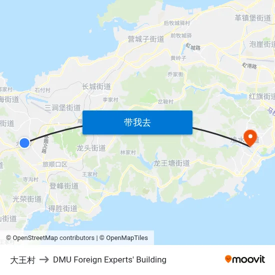 大王村 to DMU Foreign Experts' Building map