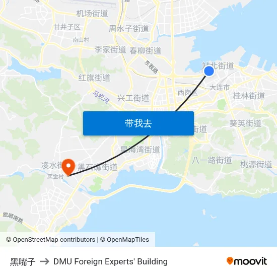 黑嘴子 to DMU Foreign Experts' Building map