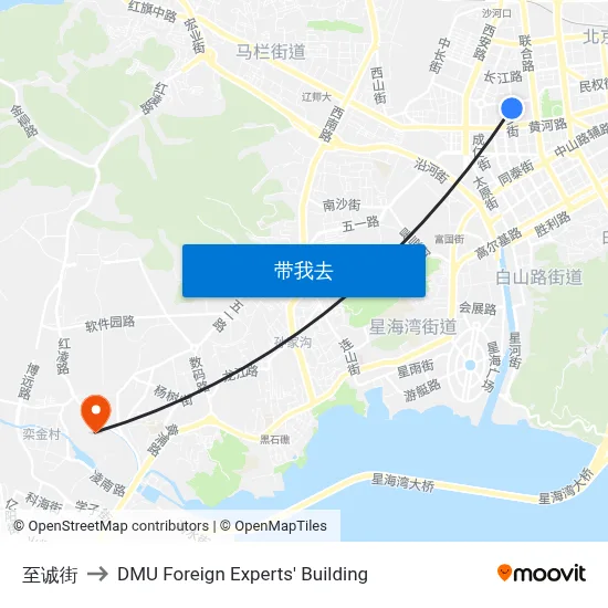 至诚街 to DMU Foreign Experts' Building map