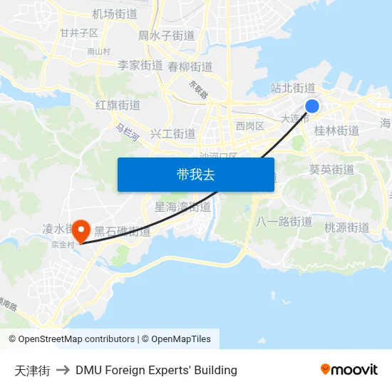 天津街 to DMU Foreign Experts' Building map