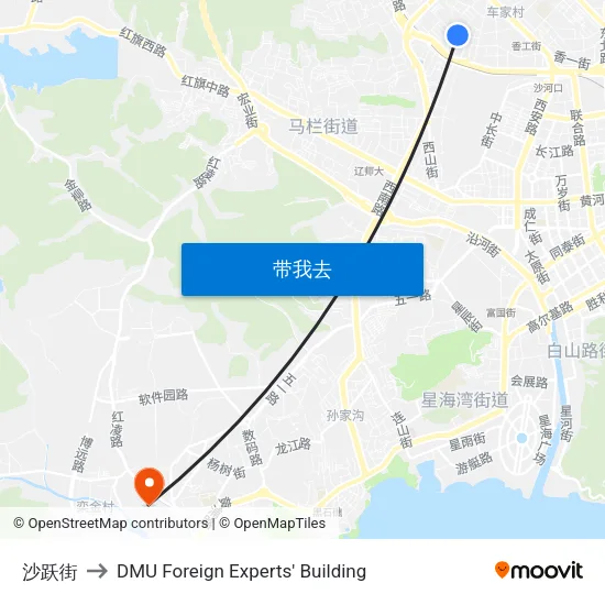 沙跃街 to DMU Foreign Experts' Building map