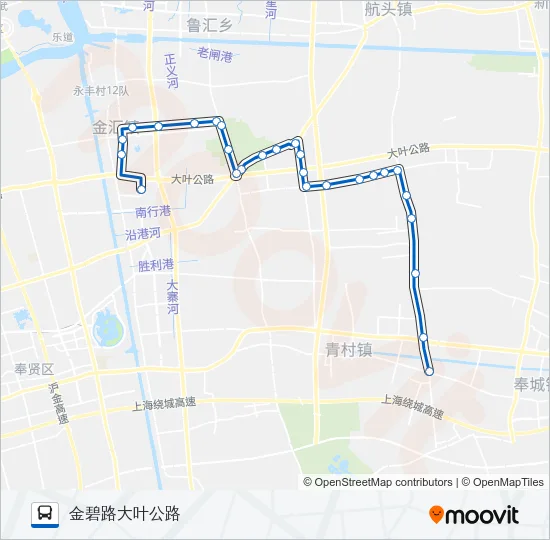 金汇1线 Bus Line Map