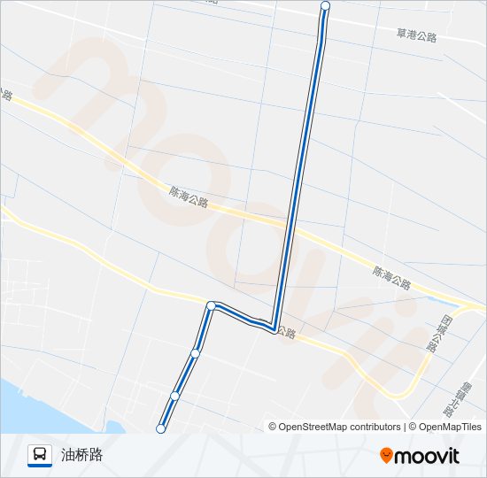 崇明乡村3路(临时) Bus Line Map