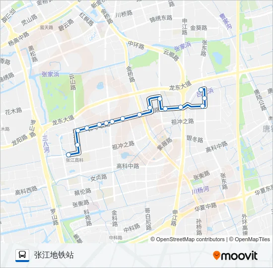 张江环线 Bus Line Map